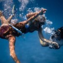 해안도시 이미지