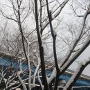 옥정초등학교 이미지