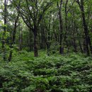 대성목장 이미지