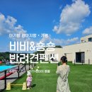 [공지] 가평 아기랑 갈만한곳 애견 동반 숙소 비비앤숑숑 펜션 내돈내산 찐후기