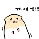 덕유산(대전) 이미지