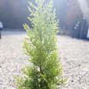 생명농장 이미지