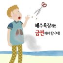 해수욕장사업소 이미지