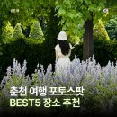 소망카랜드 | 춘천여행 포토스팟 BEST5 해피초원목장 삼악산케이블카 산토리니카페 제이드가든