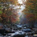 어야어야 이미지