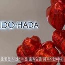 필라테스시도하다