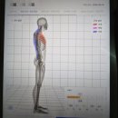 대흥메디칼 이미지