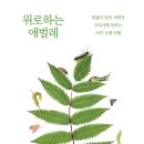 ＜위로하는 애벌레＞ 이상권 글/이단후 그림 | 궁리출판 | 2023 이미지