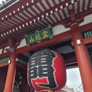 오렌지벙보통신 | 도쿄 가볼만한곳 4인 가족여행 아사쿠사 카미나리몬 센소지 인력거 솔직후기 짱재밌음