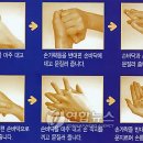 신종플루 예방요령 얼마나 아세요 이미지