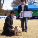 인터메리 이미지