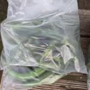 화천왕겨 네이버블로그