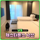 오지의 펫테이블 | 체스터톤스 낙산 강원도 양양 애견동반 숙소 펫룸 호텔 조식 주차 추천 후기