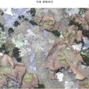 망우당행장 네이버블로그