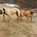 금순이농장 이미지