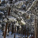 한라산 겨울 등반 : 성판악-관음사 코스 이미지