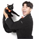 유한회사 다홍 이미지