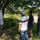 합천예술제 이미지