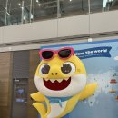 733포병대대마트 | [상해여행]1일차 중국입국(중국남방항공 인천-대련-상하이 경유편) 후기