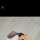 루팡덮밥 이미지