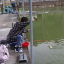 계룡 낚시터 이미지