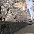 세븐일레븐 대전용전원룸점 | 대전 용전동 자취후기