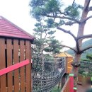지리산 동의보감촌 1박2일여행 -어린이 놀이터-