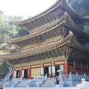 방일초교 이미지
