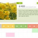 한농마트