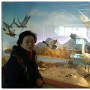 이순신대교 전망대 이미지