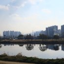 곡교천길 이미지