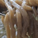 표선생각 이미지