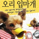 쿠치올로 이미지