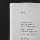 카페거리 동물병원 동행 네이버블로그