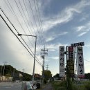 용진식당 | 대전 구암동 맛집 한우특수부위전문점 용진식당 솔직한 후기