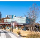 더영흥
