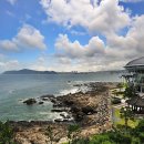 마루하우스 이미지