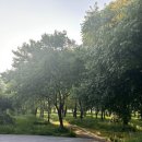 그린나무영월 이미지