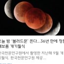 남해궁펜션 | 2026년 3월 일상