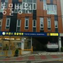 트윈스동물병원 | 강북구 창동 동물병원 트윈스동물병원 위치 오는길 후기