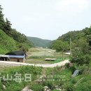 물쌍거리 이미지