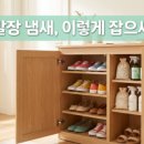 한국물기술인증원 노동조합 | 신발장 제습제, 어떤 게 진짜 효과 있을까? 5종류 써보고 비교한 솔직 후기
