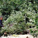 내고2농로 이미지