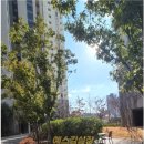 가호동행정복지센터 앞 이미지