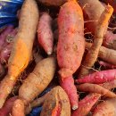 금량농장 이미지