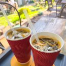 라이프트리 이미지