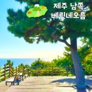 천제연 담팔수나무 | 제주 서귀포 오름 추천 중문 베릿네오름 주차 소요시간