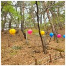 제16회 당진예술제(공연) | 4월 개심사 예술제, 당진 벚꽃길의 특별한 하루