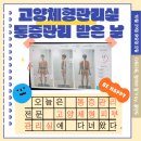 고양체형피부관리실 | 일산체형교정 마사지 고양체형피부관리실 방문 후기