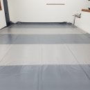 루루애견 이미지